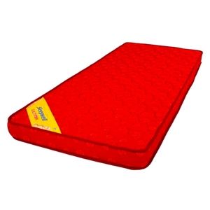 Sleepwell mattress pair